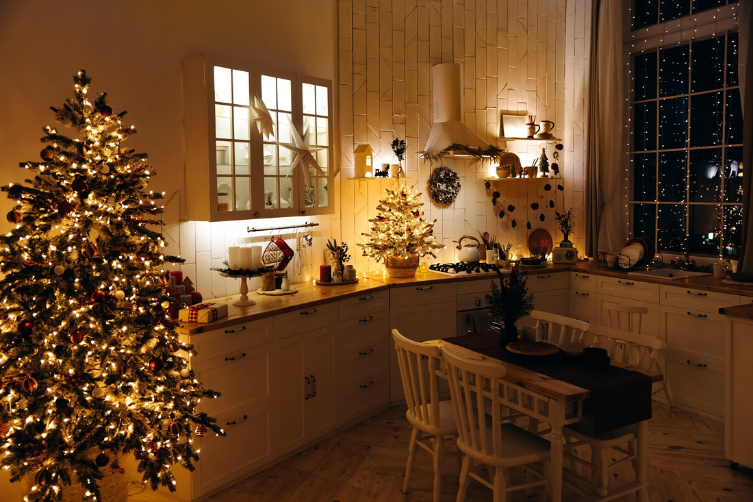 Cozy kitchen interior design