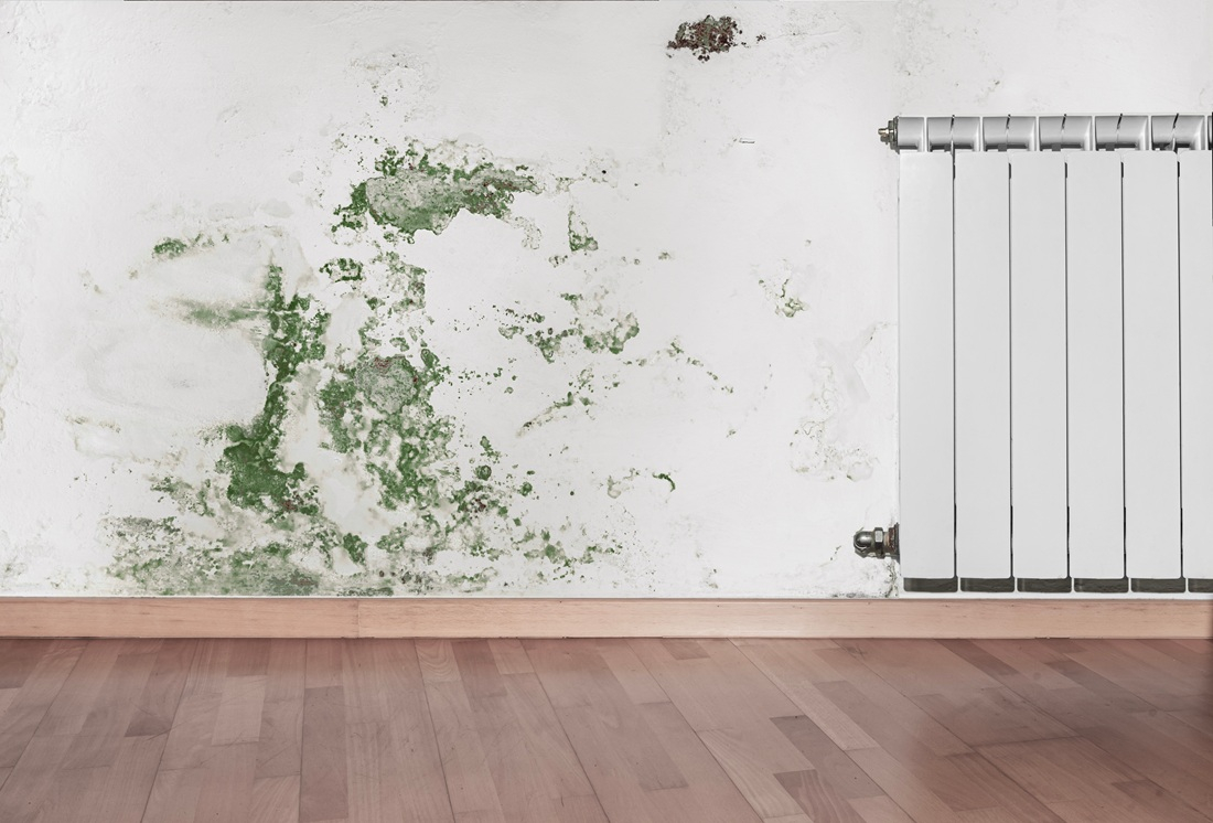 Waterproofing during renovation: Moisture can encourage mold - hazardous to health.